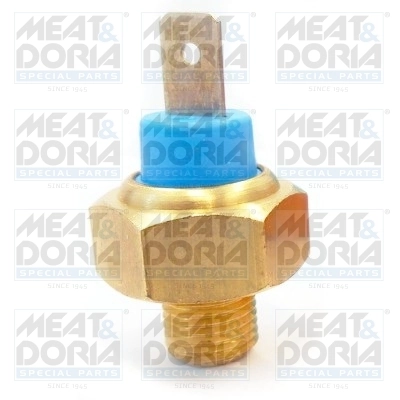 Temperature Switch, coolant warning lamp